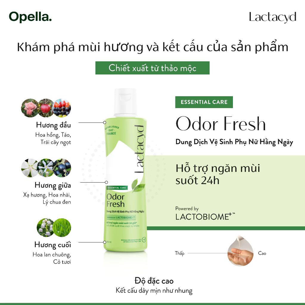 [Quà tặng Lactacyd] Dung Dịch Vệ Sinh Phụ nữ Lactacyd Odor Fresh Ngăn Mùi 24H 60ml - New