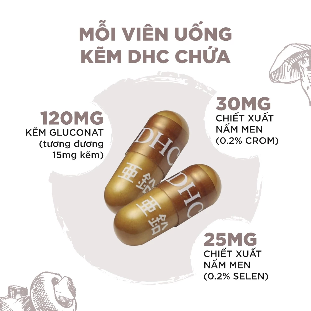 Viên uống DHC Kẽm Zinc hỗ trợ duy trì sức khoẻ, giúp cơ thể khoẻ mạnh (60 ngày) - TPBVSK DHC ZinC - 5