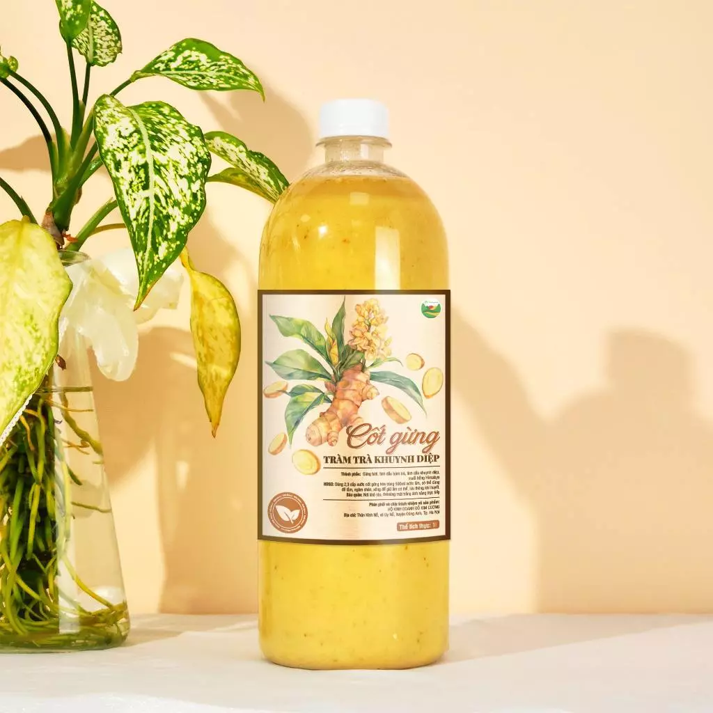 Cốt Gừng Tràm Khuynh Diệp Siêu Đặc - Nước Cốt Gừng ngâm chân, pha tắm cho bé - 2