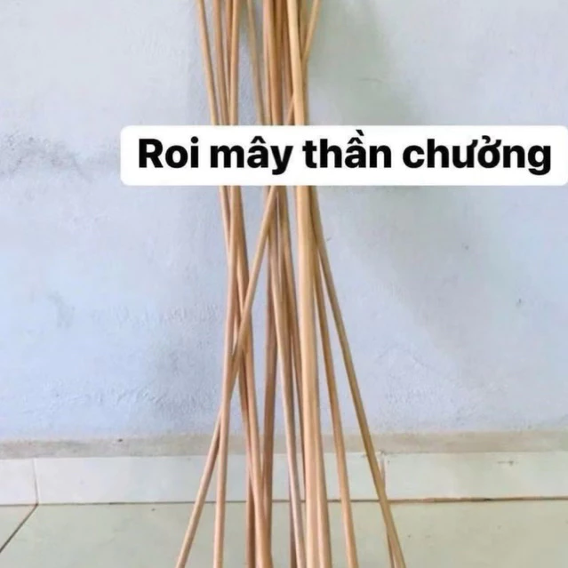 Cây roi mây dẻo dai cây roi mây tươi xanh,roi gia truyền giadunghadong