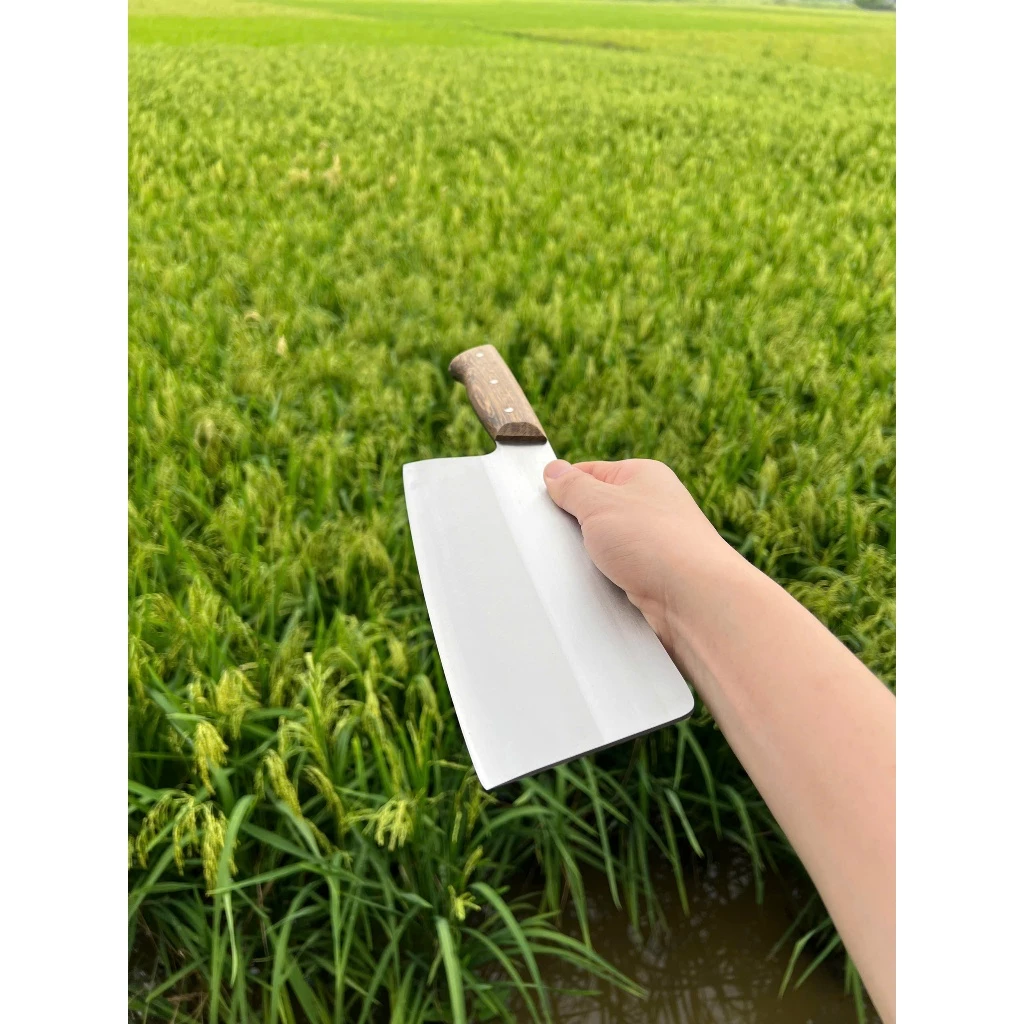 Bộ 3 Dao Chặt - Thái - Lọc, Thép Trắng Không Rỉ Độ Bền Cao Thớt Nghiến Hoàng Linh - 3