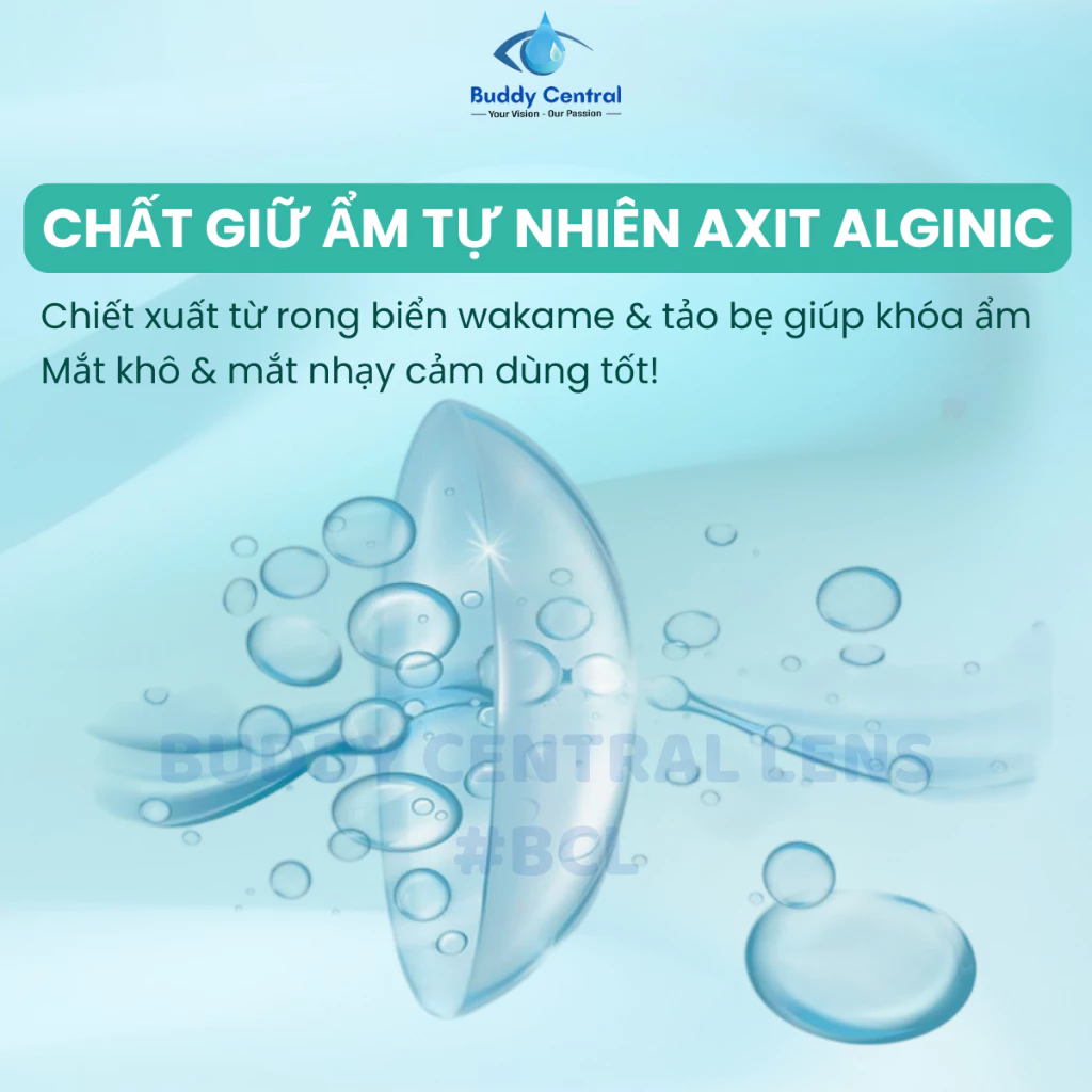 (1 chiếc lẻ) Lens Seed 1 ngày không màu 1 day Pure moisture full độ cận - Buddy Central - 2