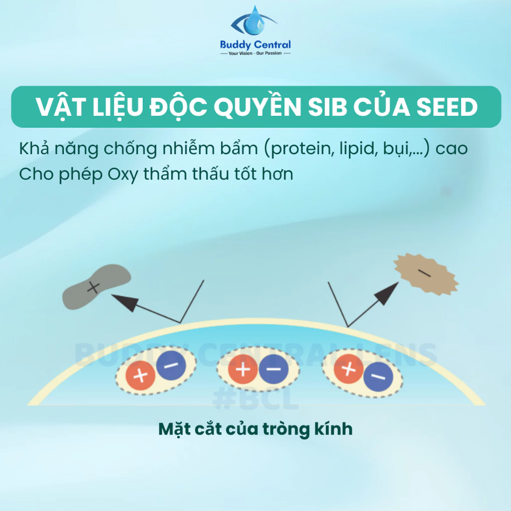 (1 chiếc lẻ) Lens Seed 1 ngày không màu 1 day Pure moisture full độ cận - Buddy Central - 5