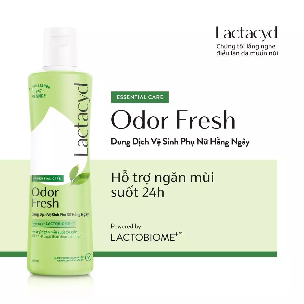 [KOL LIVESTREAM] Bộ 3 chai Dung Dịch Vệ Sinh Phụ Nữ Lactacyd Odor Fresh Ngăn Mùi 24H 250ml/chai