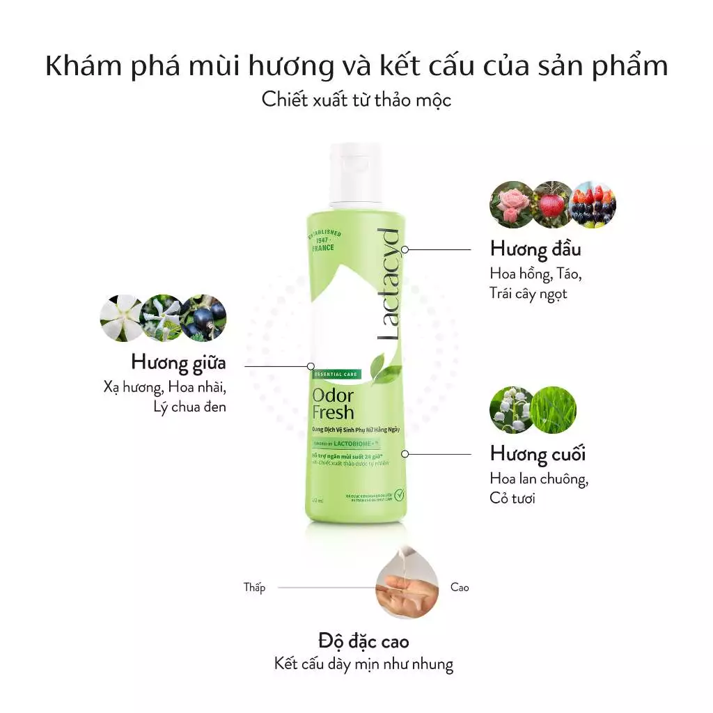 [KOL LIVESTREAM] Bộ 3 chai Dung Dịch Vệ Sinh Phụ Nữ Lactacyd Odor Fresh Ngăn Mùi 24H 250ml/chai - 2