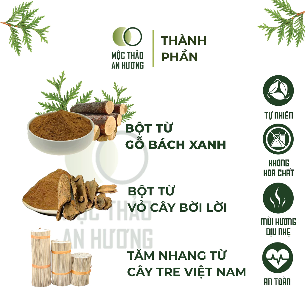 Nhang Bách Xanh, thơm dễ chịu, không mùi khét | Thích hợp phòng máy lạnh - 2