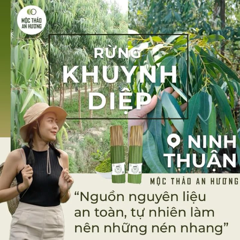Nhang khuynh diệp thơm dịu, ít khói, không hóa chất Mộc Thảo An Hương 20 cm, 30 cm, 40 cm - 5