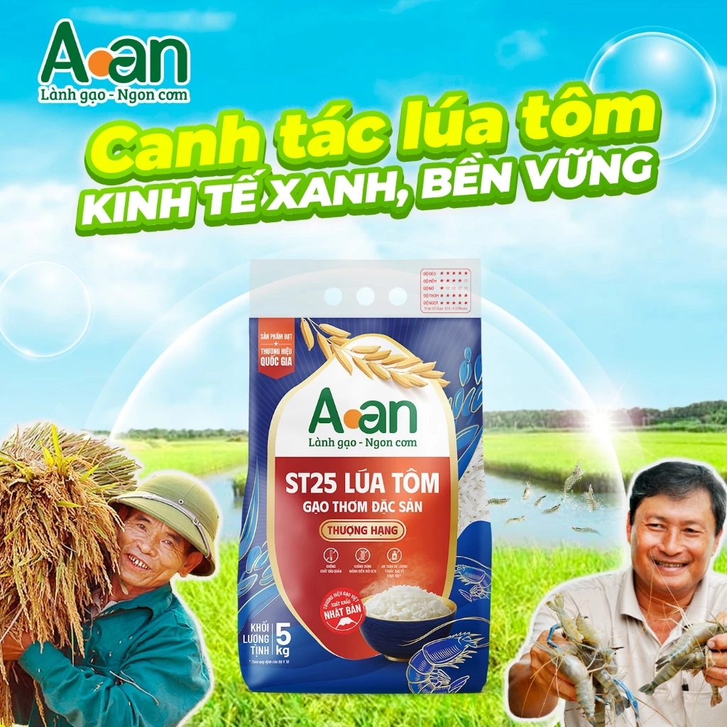 Gạo ST25 Lúa Tôm thượng hạng Aan Túi 5kg - bao bì mới - Chính hãng Gạo sạch Aan - 2