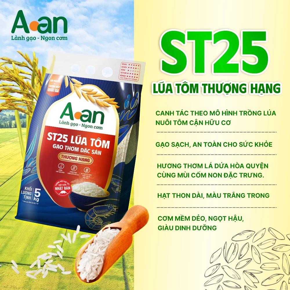 Gạo ST25 Lúa Tôm thượng hạng Aan Túi 5kg - bao bì mới - Chính hãng Gạo sạch Aan - 3