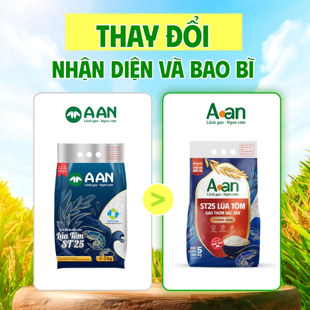 Gạo ST25 Lúa Tôm thượng hạng Aan Túi 5kg - bao bì mới - Chính hãng Gạo sạch Aan - 6
