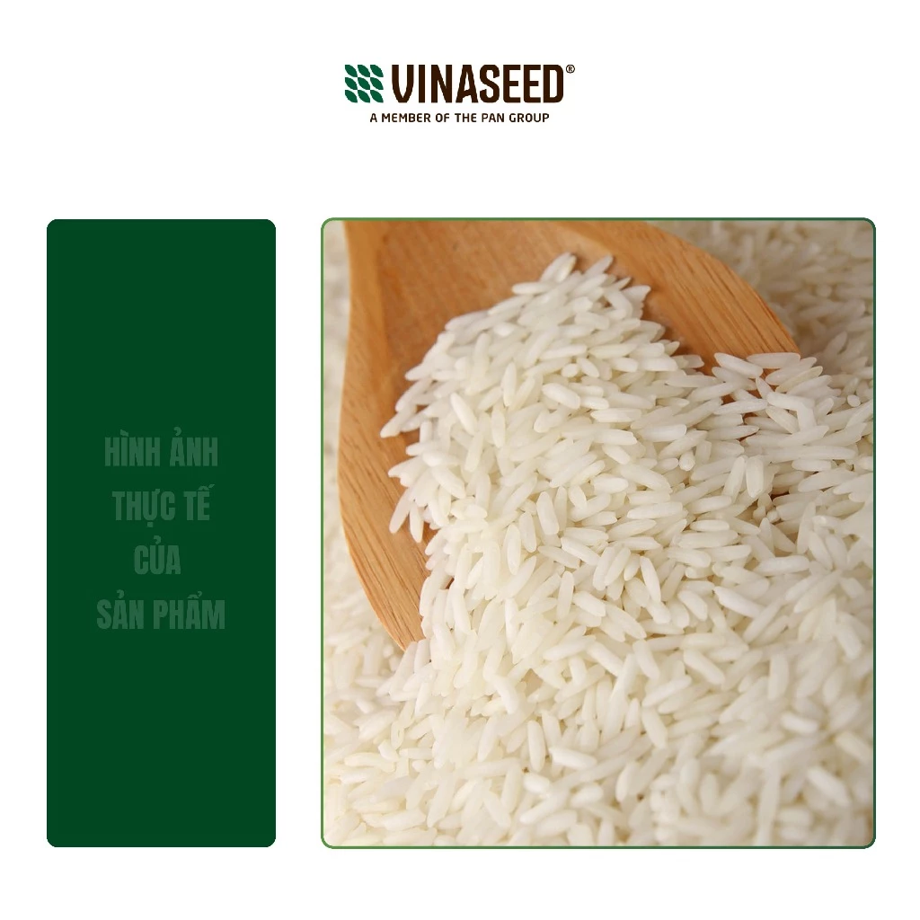 Gạo ST25 Ngon nhất thế giới năm 2019 Vinaseed túi 5kg - Dẻo, thơm, giàu dinh dưỡng - 3