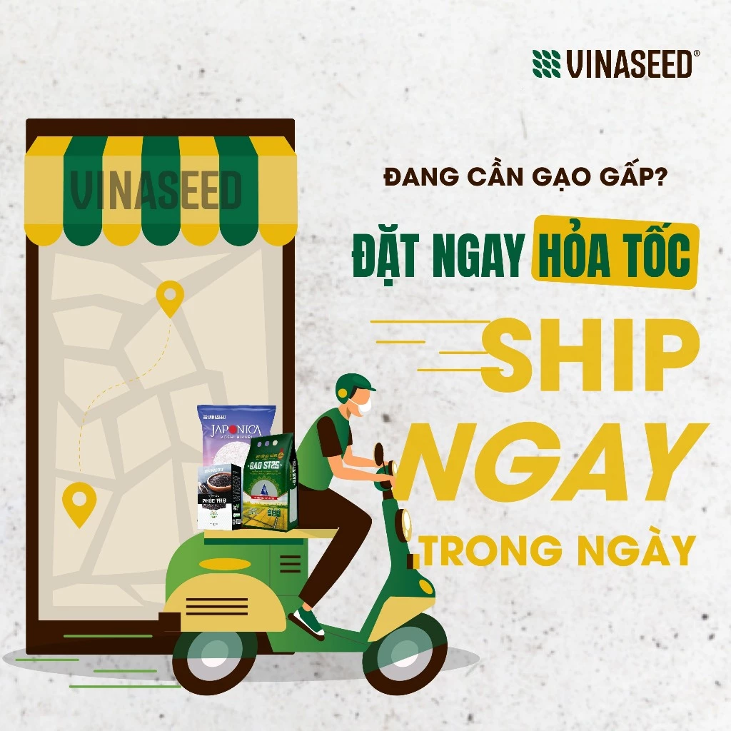 Gạo ST25 Ngon nhất thế giới năm 2019 Vinaseed túi 5kg - Dẻo, thơm, giàu dinh dưỡng - 5