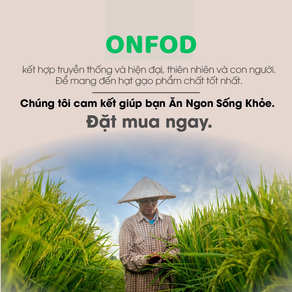 Gạo sữa ăn dặm cho bé ST25 Collagen hữu cơ ONFOD nấu cơm cháo ăn kiêng giảm cân cho người tiểu đường eat clean - 6