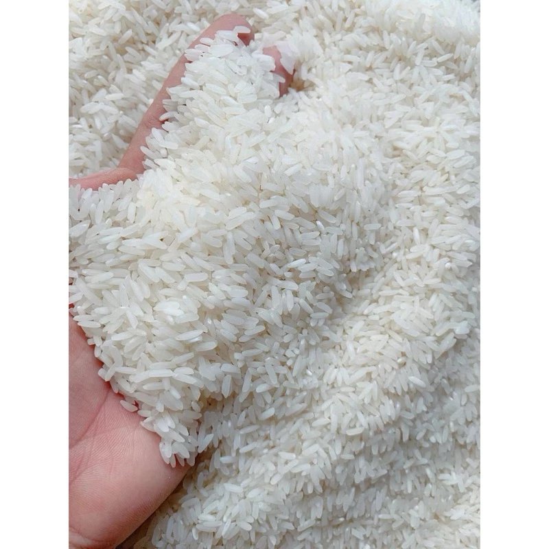 Gạo Tám Xoan Hải Hậu túi 5kg - Dẻo thơm ngọt cơm - 2