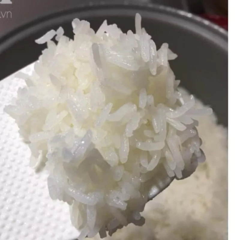 Gạo Tám Xoan Hải Hậu túi 5kg - Dẻo thơm ngọt cơm - 3