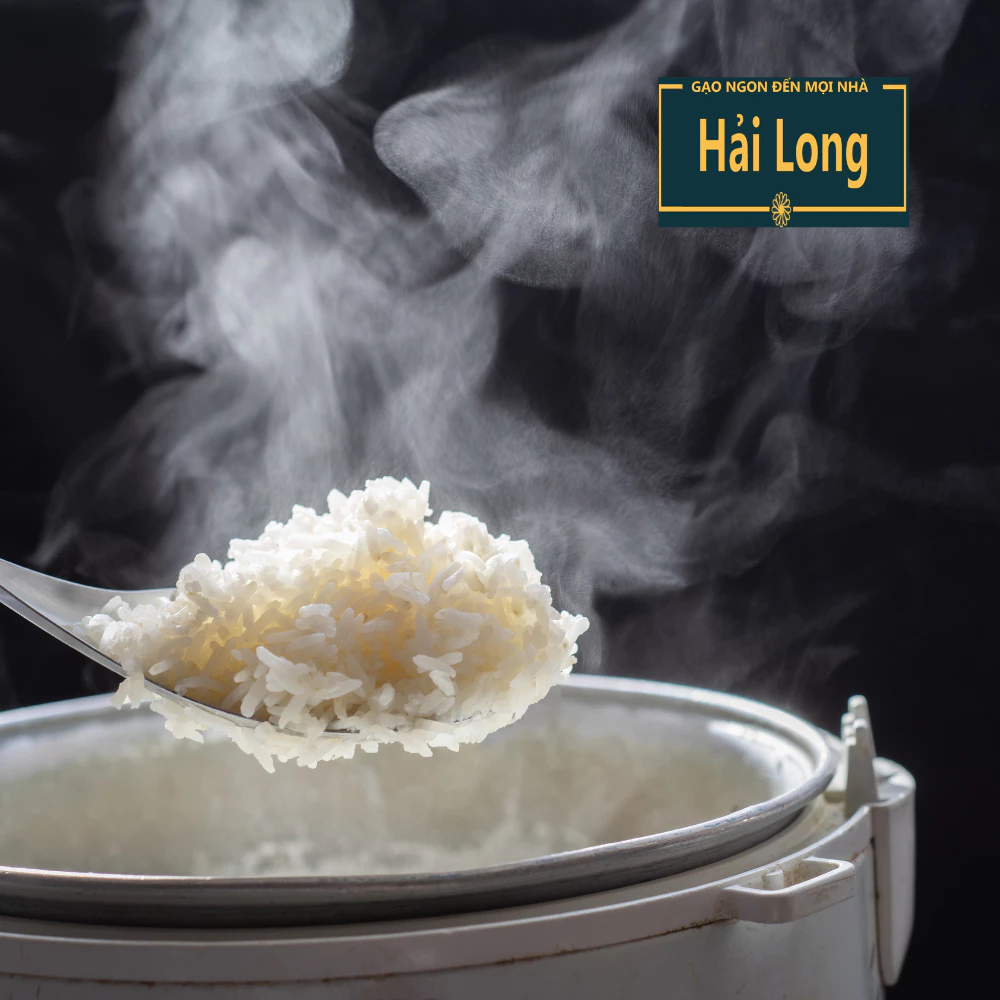 5KG Gạo Tám Xoan - Gạo Thơm Dẻo Ngọt - Gạo Dẻo Vừa, thơm cơm - Bena Organic - 4