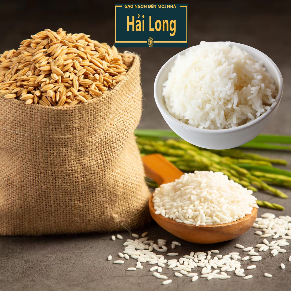5KG Gạo Tám Xoan - Gạo Thơm Dẻo Ngọt - Gạo Dẻo Vừa, thơm cơm - Bena Organic - 5