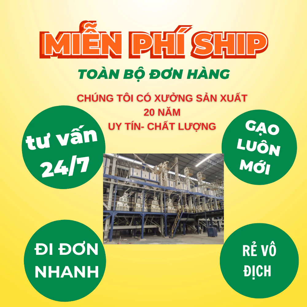 5KG Gạo Tám Xoan - Gạo Thơm Dẻo Ngọt - Gạo Dẻo Vừa, thơm cơm - Bena Organic - 6