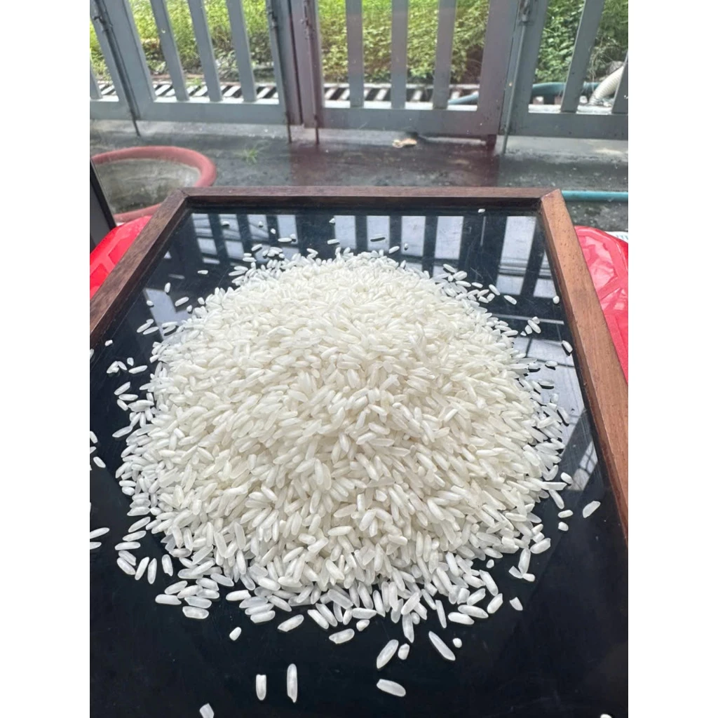[TẠI NHÀ MÁY] Gạo Hương Lài Sữa – Dẻo Vừa, Thơm Ngọt Tự Nhiên, Giá Bình Dân| Gạo Giá Gốc Tại Nhà Máy - 3