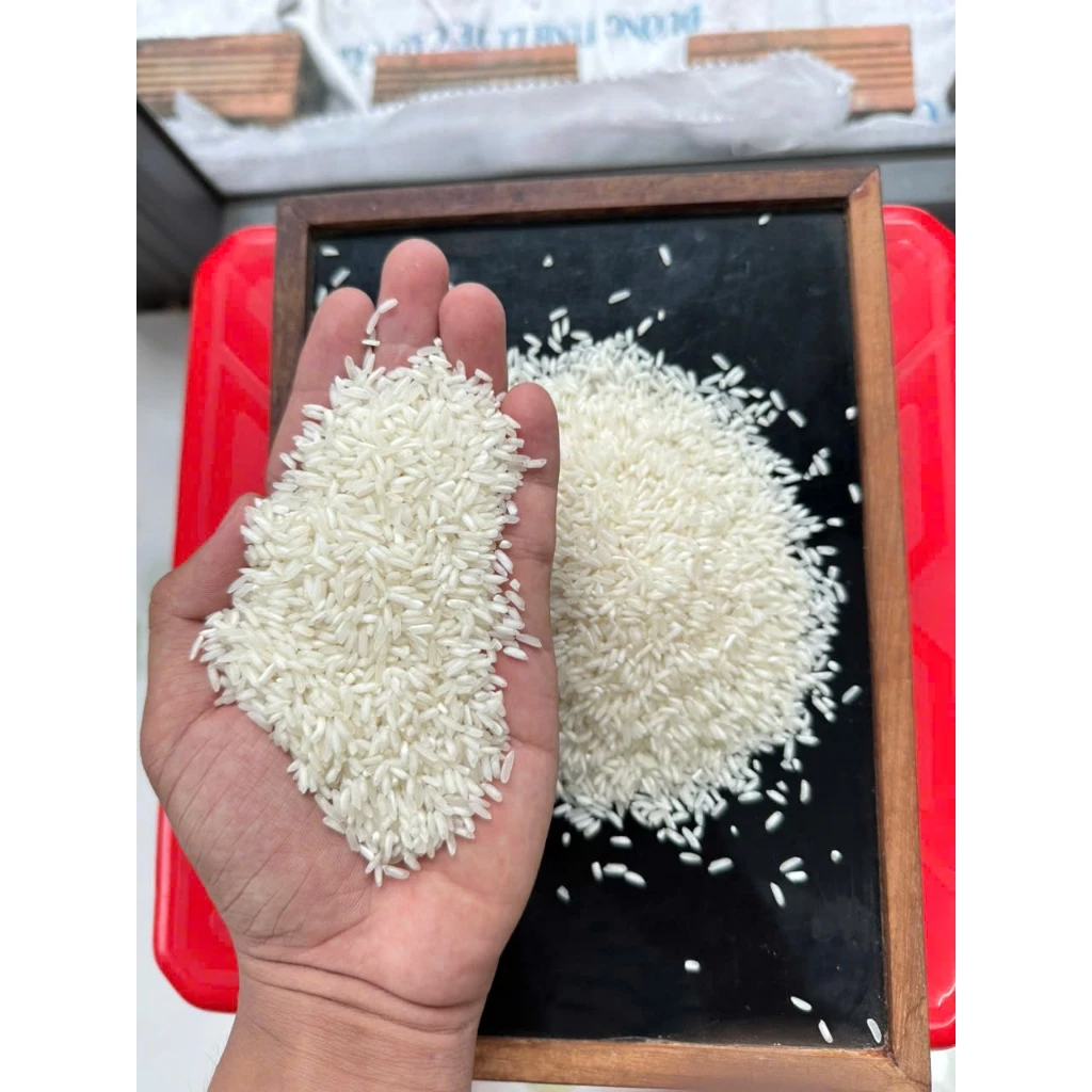 [TẠI NHÀ MÁY] Gạo Hương Lài Sữa – Dẻo Vừa, Thơm Ngọt Tự Nhiên, Giá Bình Dân| Gạo Giá Gốc Tại Nhà Máy - 3