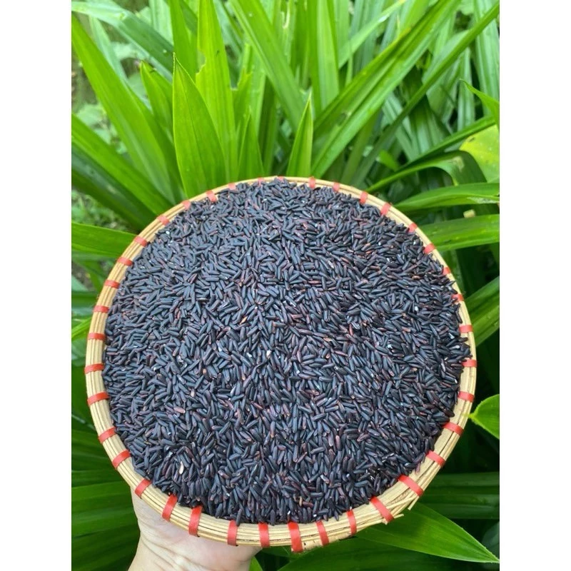 1kg Gạo Lứt Đen Điện Biên (LOẠI NGON) - Gạo Lứt Đen Hữu Cơ Cho Người Ăn Kiêng - Gạo Lứt Dẻo Thơm