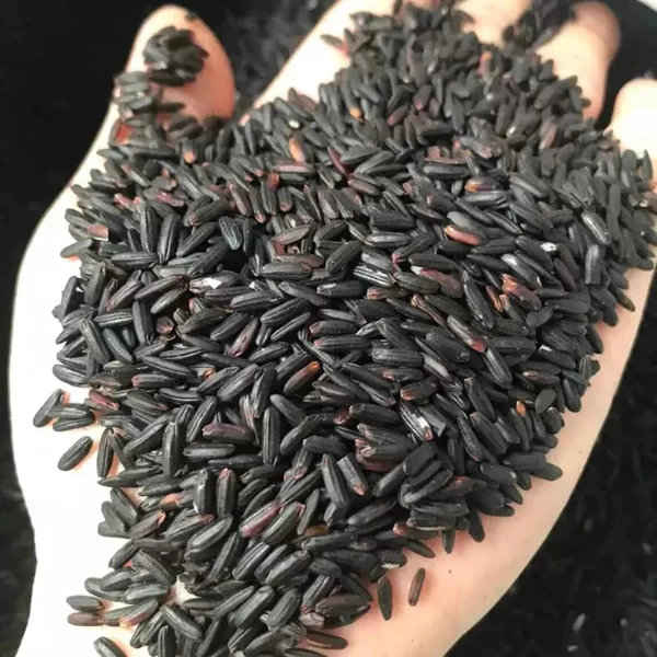 Gạo Lứt Đen, Gạo Lứt Đen Dẻo, Gạo Lứt Giảm Cân Ăn Kiêng, Tốt Cho Sức Khỏe, Giàu Dinh Dưỡng 500g - 1kg - 3