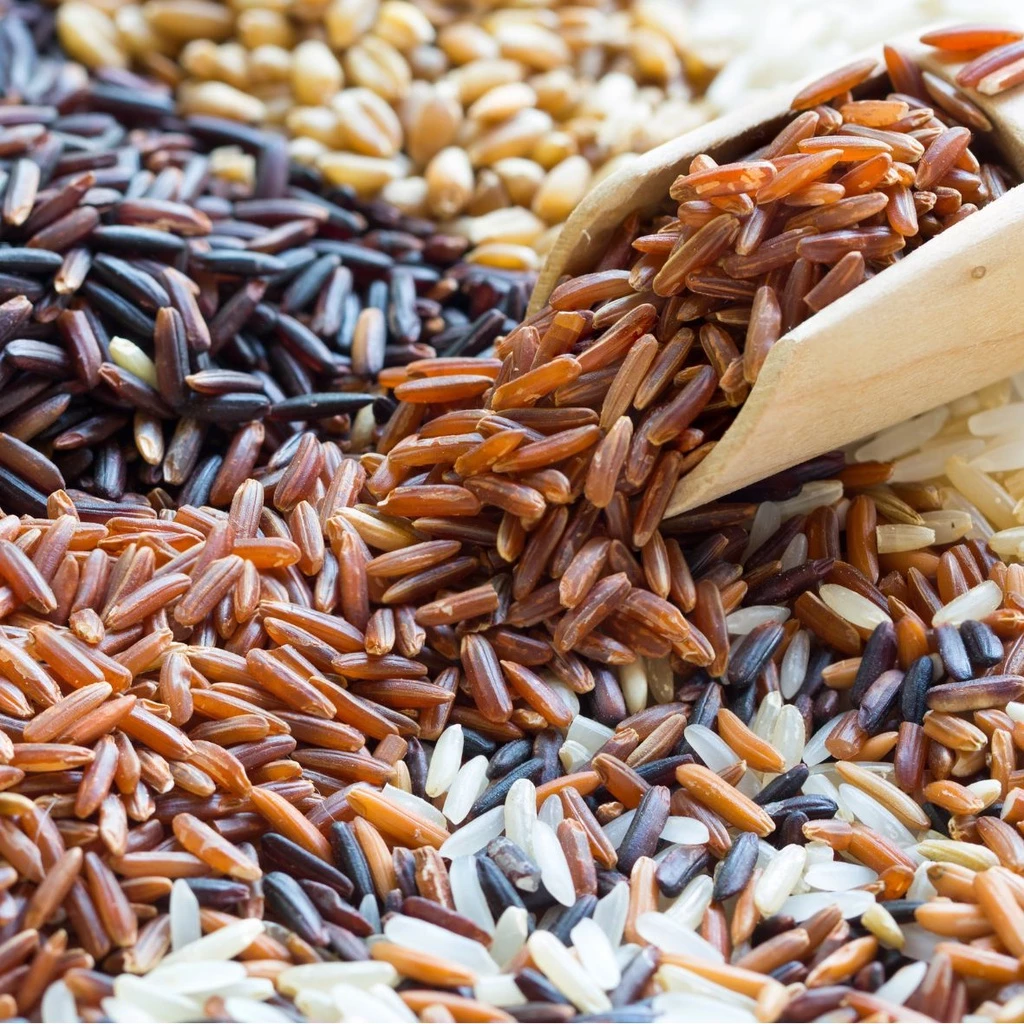 1 KG Gạo lứt đỏ huyết rồng / gạo lứt đen Điện Biên - gạo lứt cho người ăn kiêng - gạo lức dẻo thơm