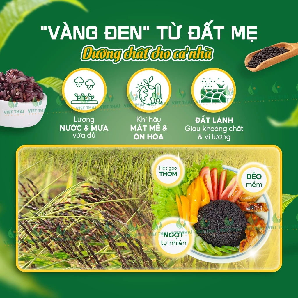 [Combo 7Kg Siêu Hời] Gạo Lứt Đen Việt Thái Organic Gạo Lứt Không Cần Ngâm Dẻo Mềm Ít Calo Eat Clean - 6