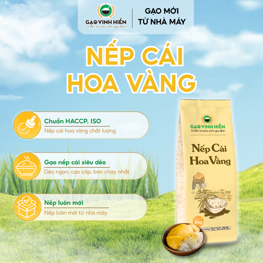 [2 LOẠI NẾP] Combo Nếp Cái Hoa Vàng 1KG và Nếp Sáp 1KG Vinh Hiển - Thơm, dẻo, mềm ngon - 2