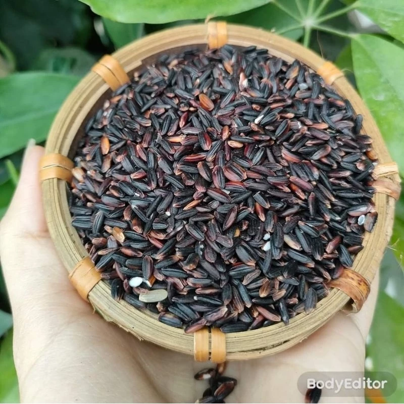 Gạo Nếp cẩm Điện Biên- Gạo nếp than- hàng loại 1 Thơm Dẻo Ngon - 3