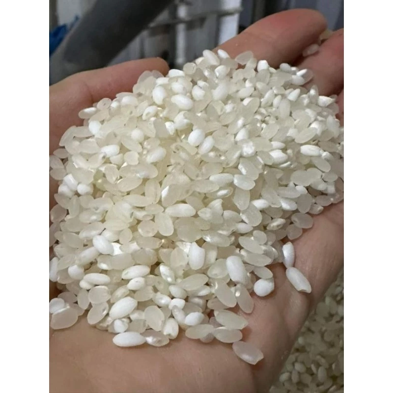 2KG Gạo Nếp Nương siêu ngon, dẻo Hà Giang, Nếp nương Điện Biên, Nếp Nhung các loại.