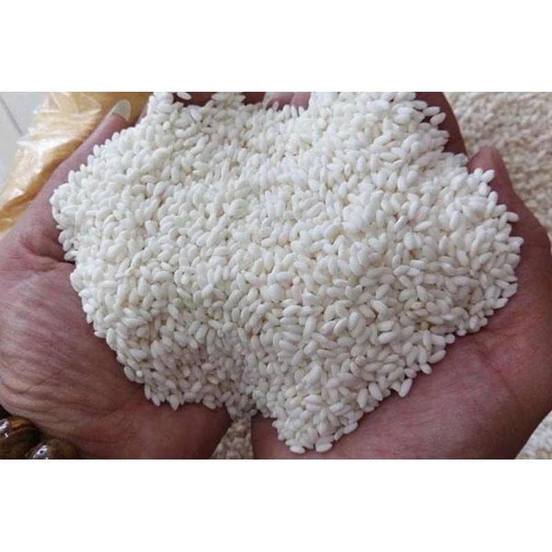 2KG Gạo Nếp Nương siêu ngon, dẻo Hà Giang, Nếp nương Điện Biên, Nếp Nhung các loại. - 2