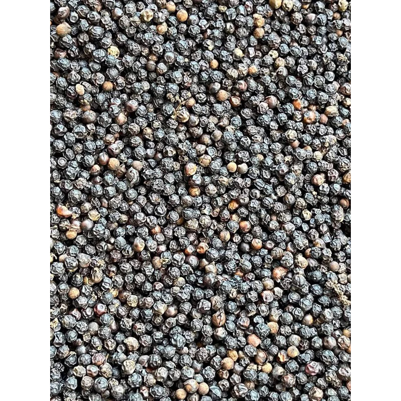 Tiêu Đen Nguyên Hạt Đăk Lăk Chắc Đều, Hạt Chuẩn, Tỉ Lệ Chín Cao,