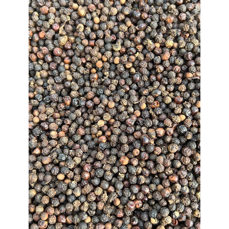 Tiêu Đen Nguyên Hạt Đăk Lăk Chắc Đều, Hạt Chuẩn, Tỉ Lệ Chín Cao, - 2