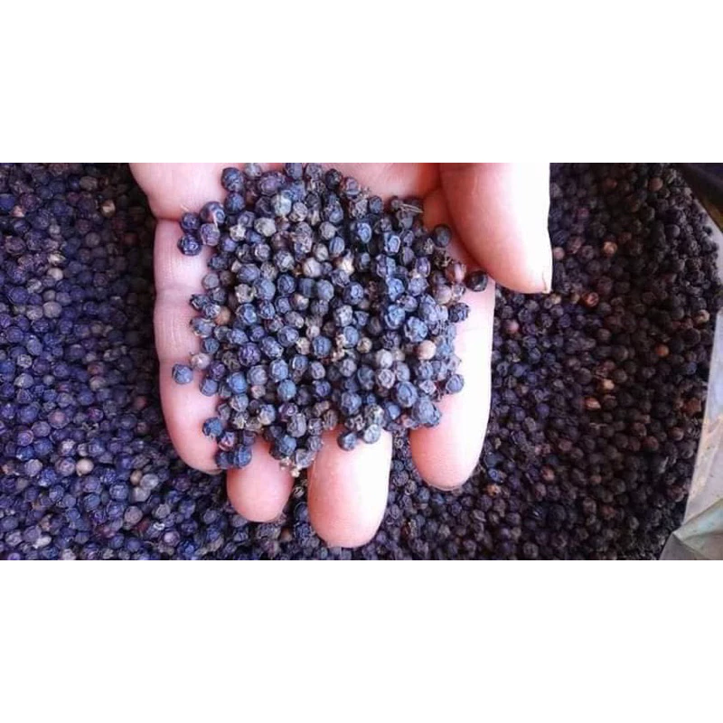 Tiêu Đen Nguyên Hạt Đăk Lăk Chắc Đều, Hạt Chuẩn, Tỉ Lệ Chín Cao, - 3