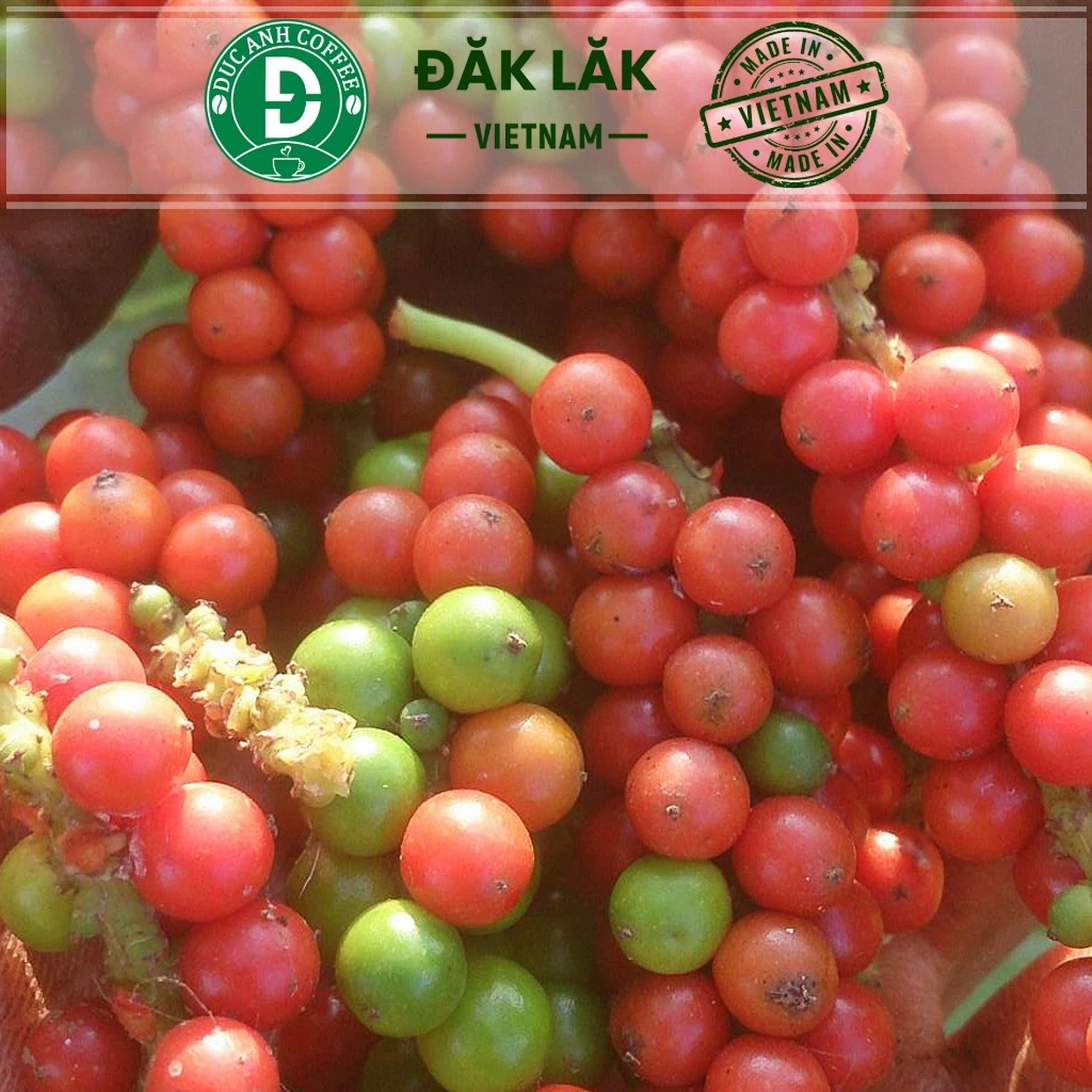 Gói 200g tiêu đen sạch nguyên hạt chưa xay, thơm chắc hạt từ nông trại cà phê Đức Anh - 4