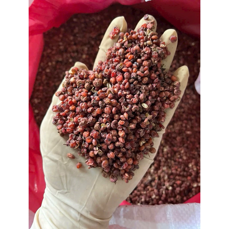 Hoa tiêu đỏ, xuyên tiêu, hạt tiêu tứ xuyên khô hàng loại 1 cay tê - 5