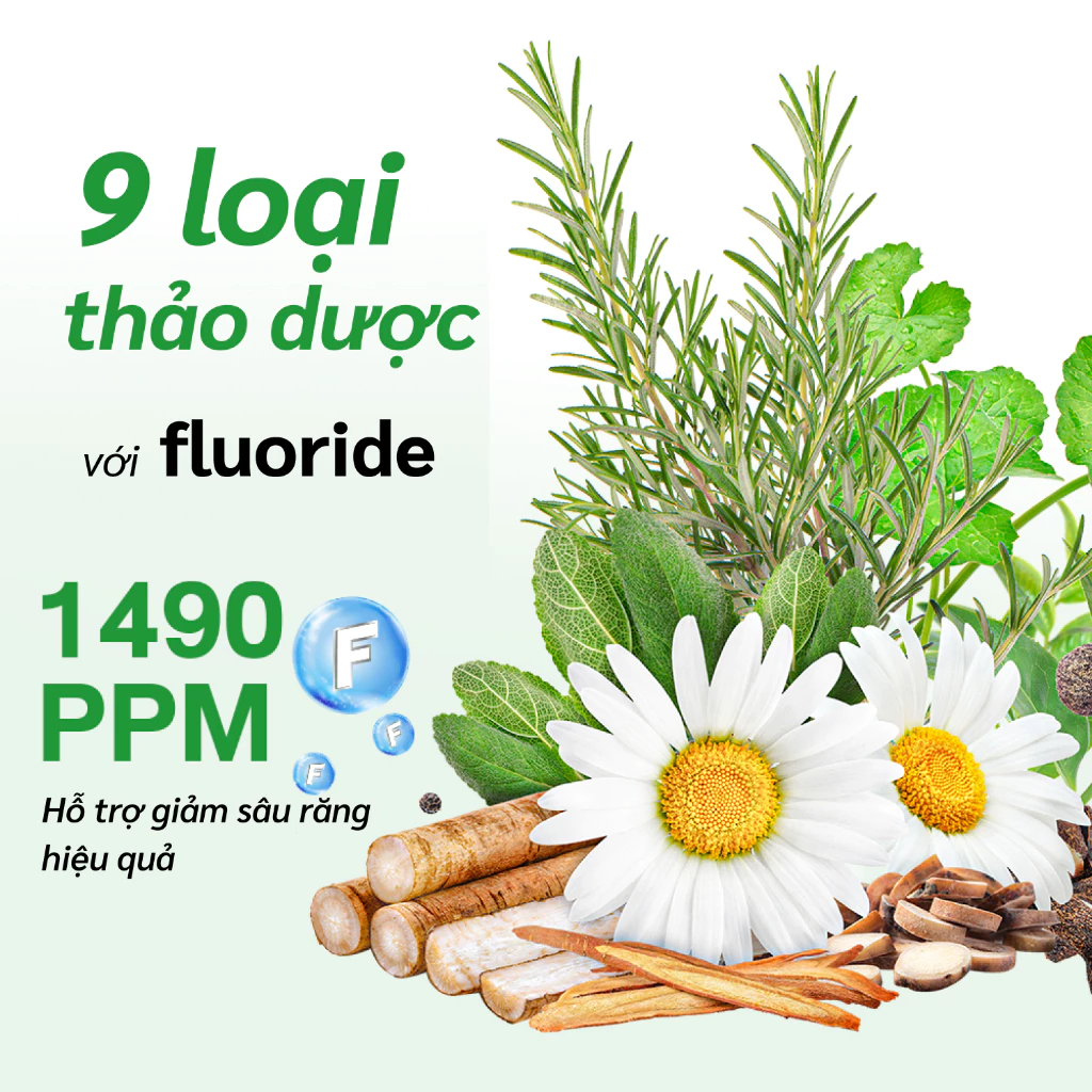 Kem đánh răng 9 loại thảo dược hỗ trợ giảm viêm lợi, hỗ trợ giảm mùi hôi miệng Dr.PONG 9x herbal plus fluoride toothpast - 2