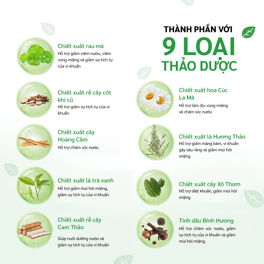 Kem đánh răng 9 loại thảo dược hỗ trợ giảm viêm lợi, hỗ trợ giảm mùi hôi miệng Dr.PONG 9x herbal plus fluoride toothpast - 4