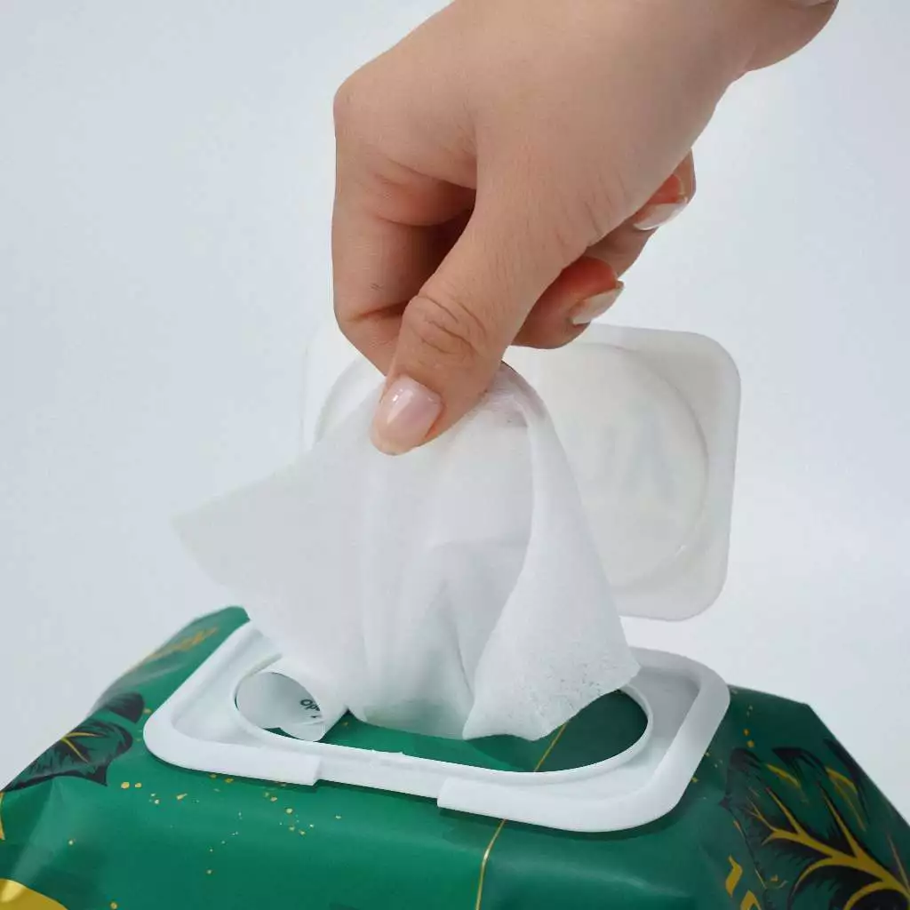 (CÓ QUÀ TẶNG) Thùng 10 gói khăn ướt Lamy 100 tờ không cồn không parabens cao cấp dành cho em bé - 4