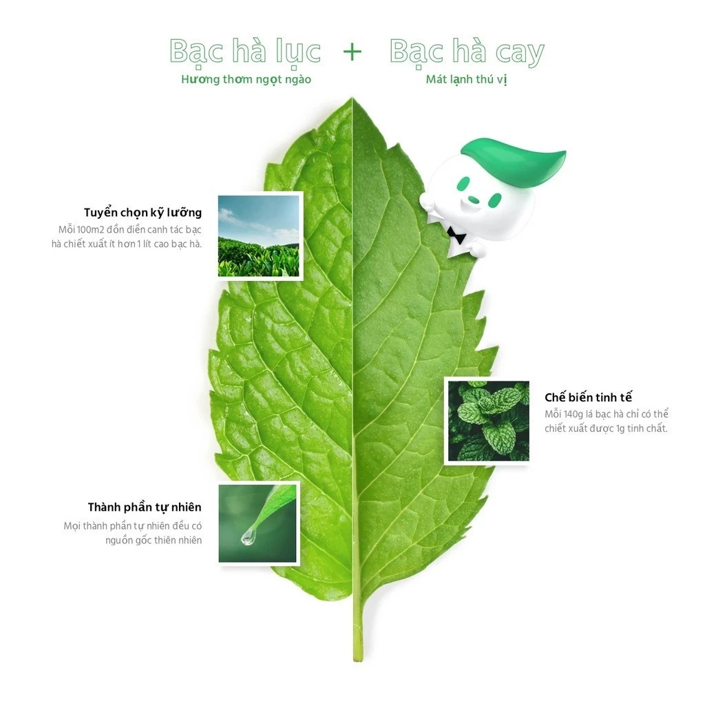 Kem Đánh Răng Darlie Tea Care Trà Xanh Bạc Hà 140g - 2