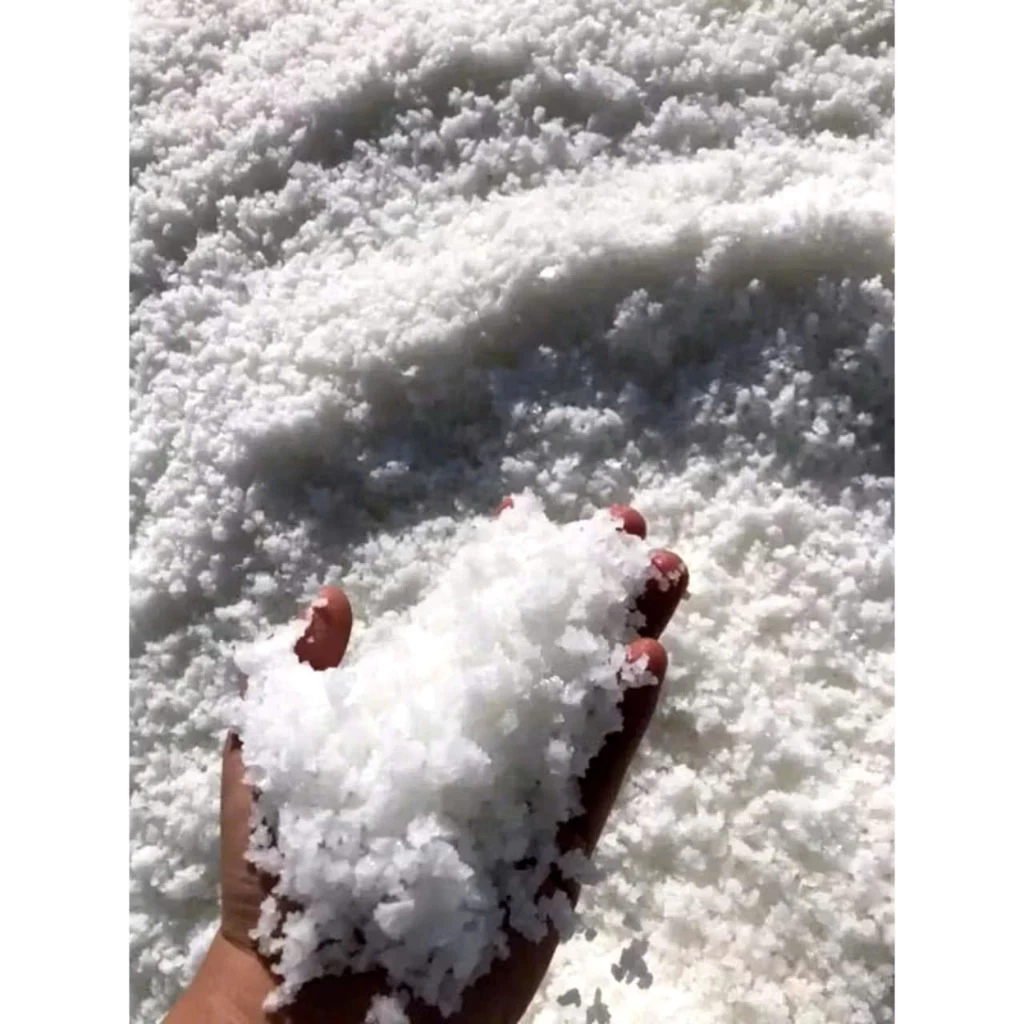 Muối thô, muối hạt / Muối biển tự nhiên chưa qua xử lý, gói 1 kg/_Muối biển thô - 2