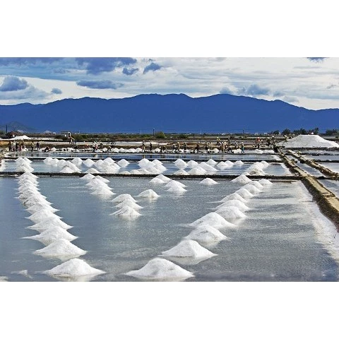 MUỐI HỘT TỰ NHIÊN, MUỐI HẠT BIỂN, MUỐI BIỂN THÔ. CÓ THỂ VỆ SINH HỒ CÁ/ DƯỠNG CÁ/ KHỬ KHUẨN BỂ CÁ - 3