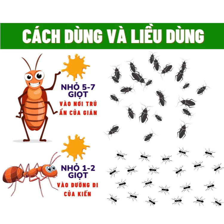 Thuốc diệt kiến gián ANBIO với hoạt chất sinh học diệt tận gốc kiến hôi, kiến đen, kiến lửa, kiến ba khoang, gián đức - 2
