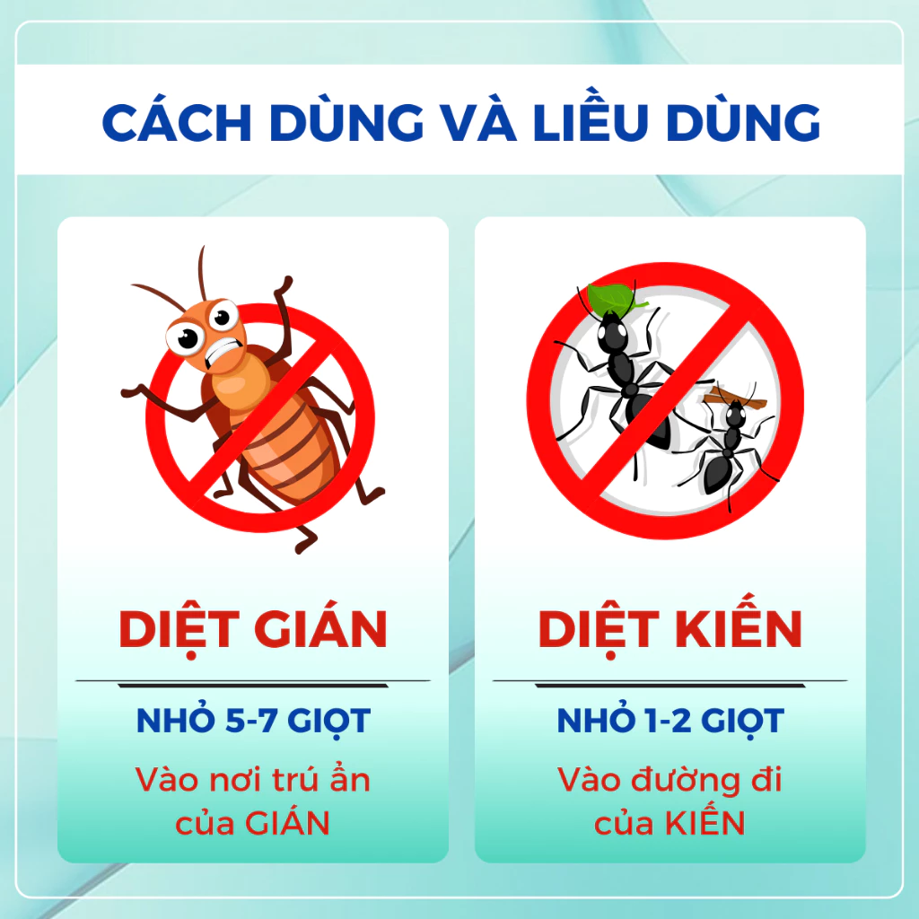 Thuốc Diệt Kiến - Diệt Gián Sinh Học ANBIO Hiệu Quả 100% - 6