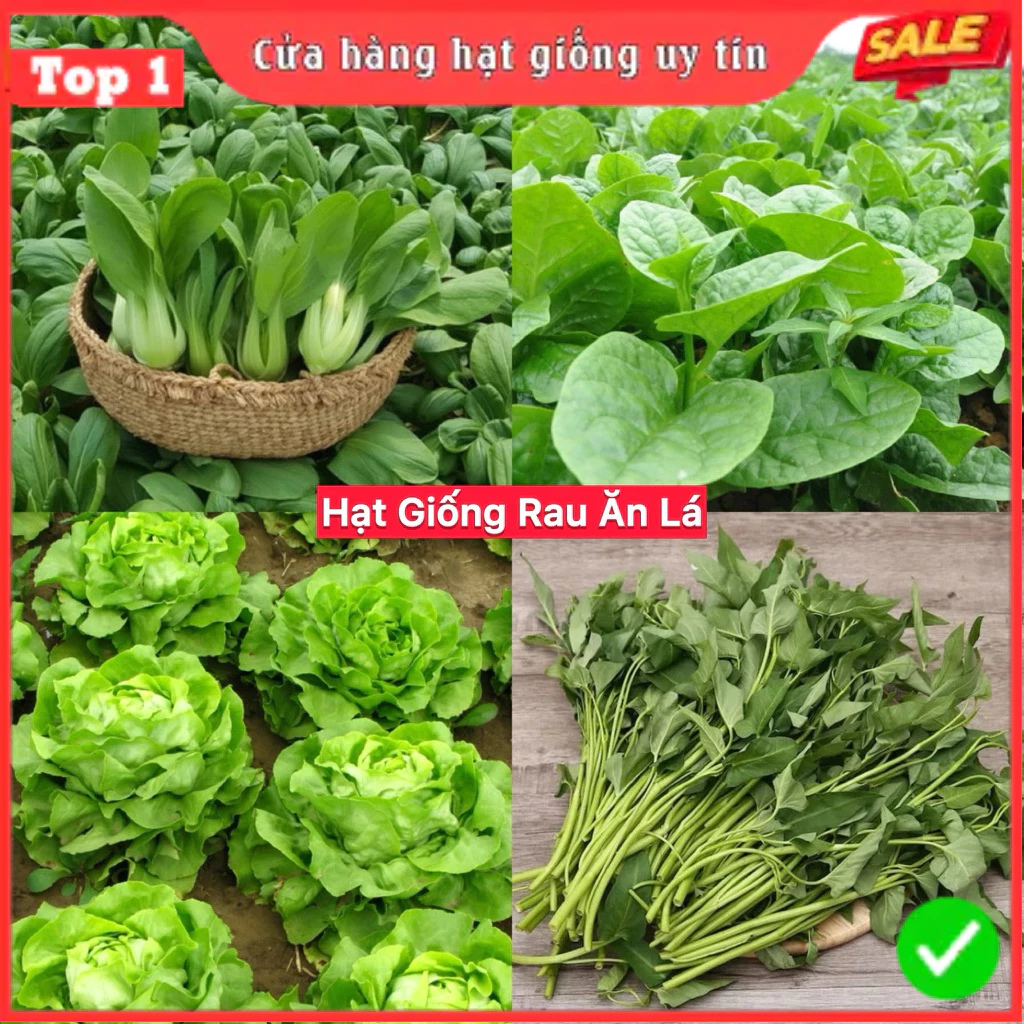 Hạt Giống Rau Cải, Rau Gia Vị & Củ Quả Các Loại 4 Mùa Ăn Quanh Năm, Giống F1 Nảy Mầm Tốt