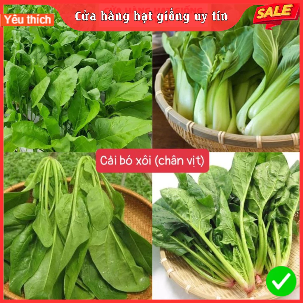 Hạt Giống Rau Cải, Rau Gia Vị & Củ Quả Các Loại 4 Mùa Ăn Quanh Năm, Giống F1 Nảy Mầm Tốt - 2