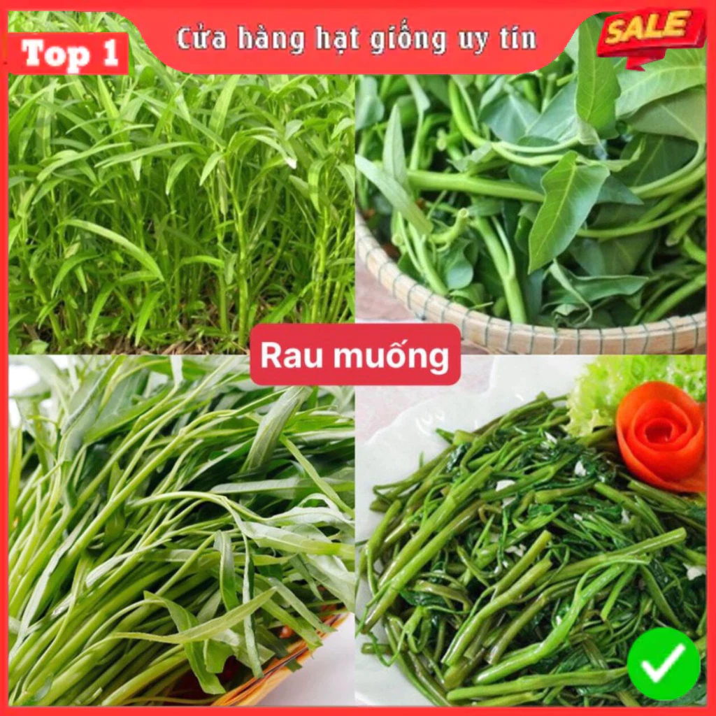 Hạt Giống Rau Cải, Rau Gia Vị & Củ Quả Các Loại 4 Mùa Ăn Quanh Năm, Giống F1 Nảy Mầm Tốt - 4