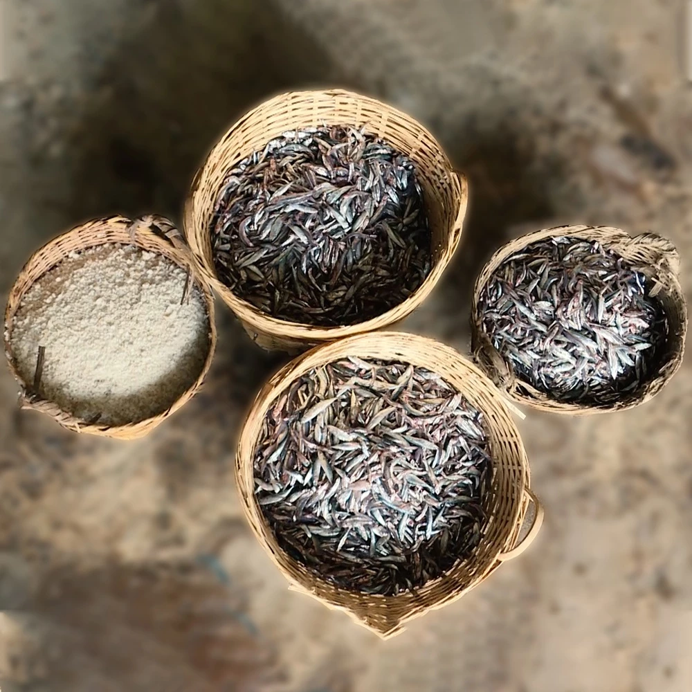 [TẶNG 1 NƯỚC TƯƠNG 125ML] Thùng 6 chai nước mắm nhỉ cá cơm than Làng Chài Xưa chai nhựa 525ml - 2