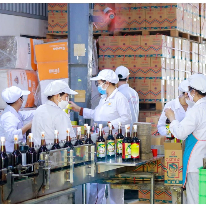 Nước Mắm Chấm Cao Đạm Cát Hải 27 Độ Đạm (Chai Nhựa) – Nước Mắm Truyền Thống - 6